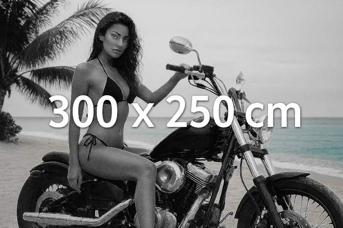 Vlies-Fototapete 300 x 250 cm – großformatige Motive für stilvolle Raumgestaltung